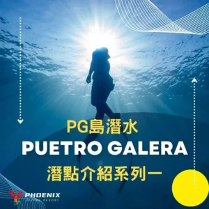 PG島海豚灣潛點系列-1