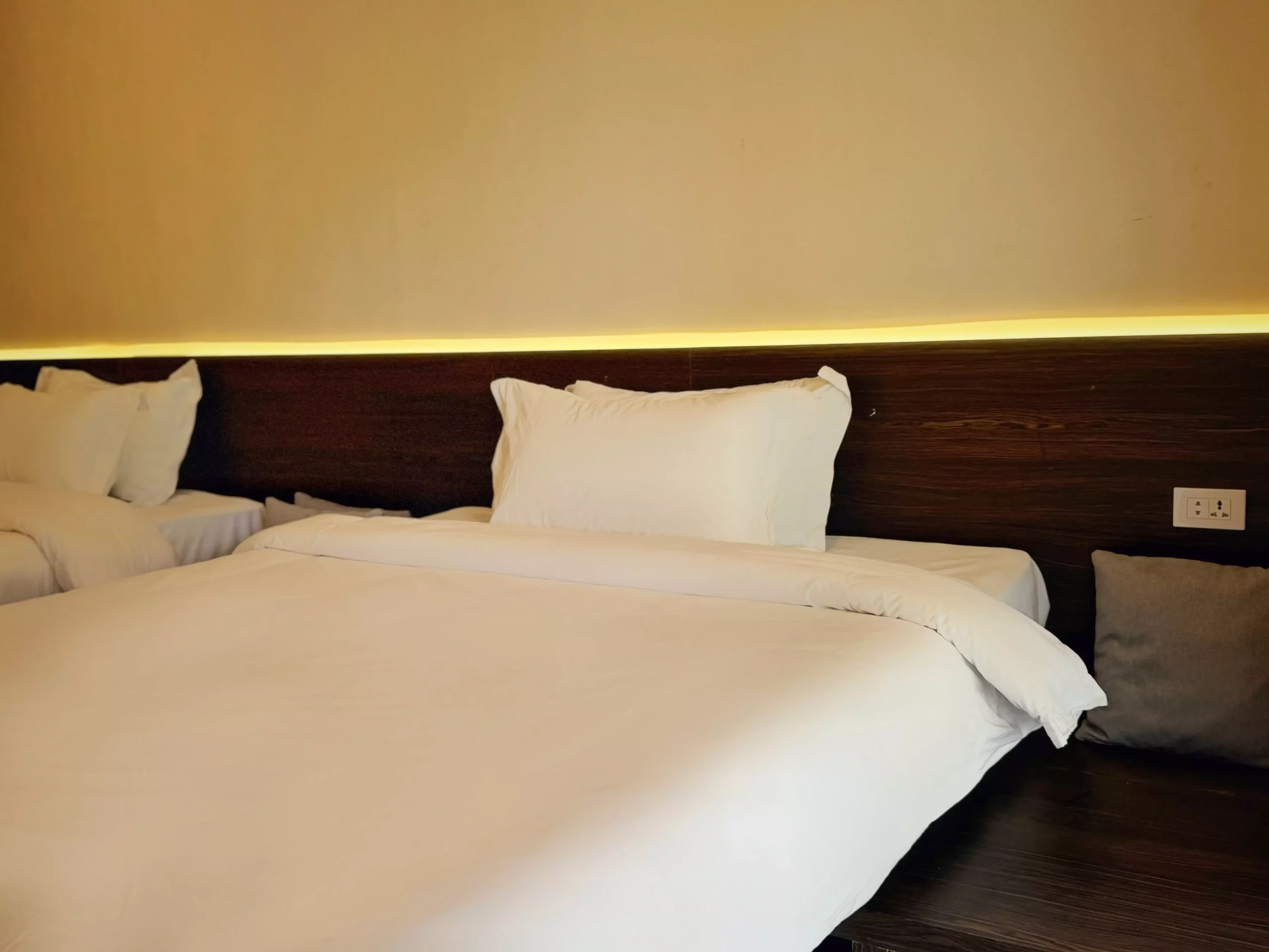phoenix_b5_room (1)